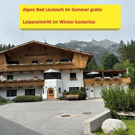 Appartement W5 Haus Ganghofer à Leutasch Extérieur photo
